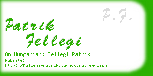 patrik fellegi business card